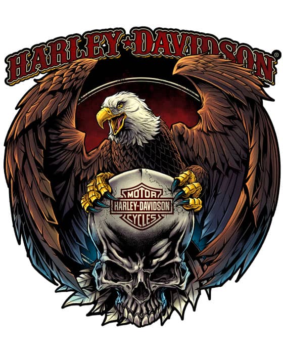 T-shirt designs of a pirate skul